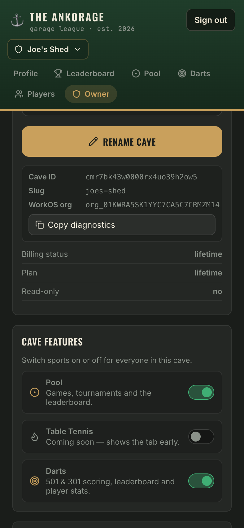 The cave settings panel with the cave name field